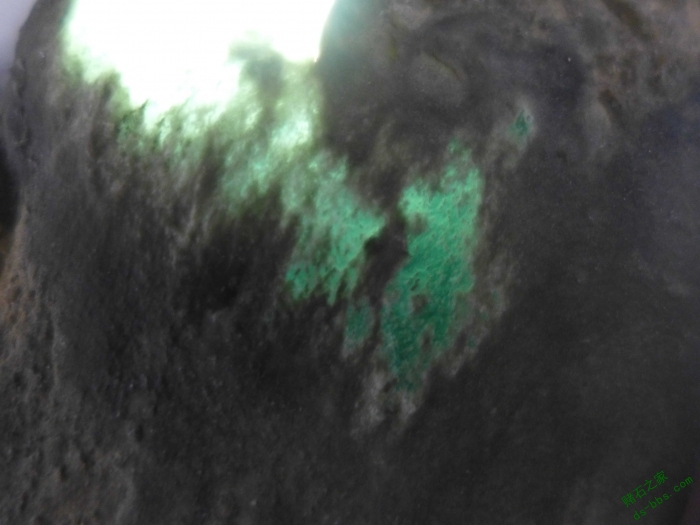 P1010943.jpg