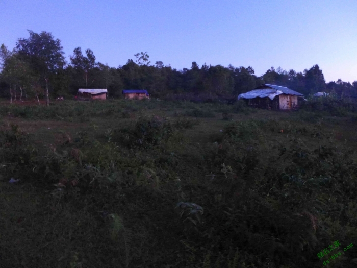 191.jpg