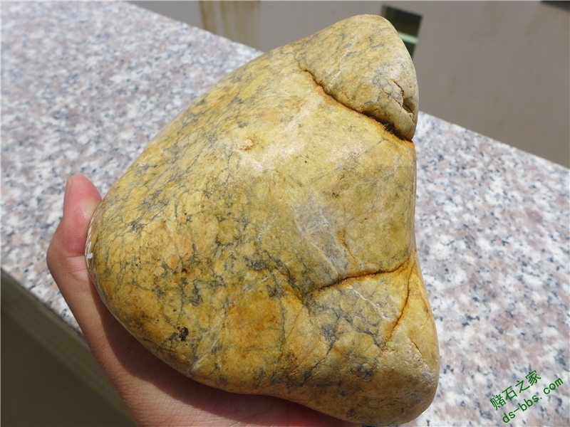 186.jpg