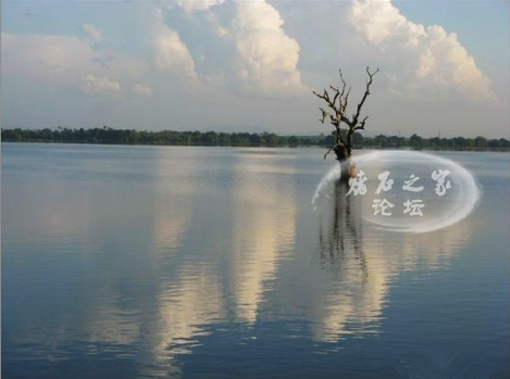 QQ截图20151103180019_副本.png