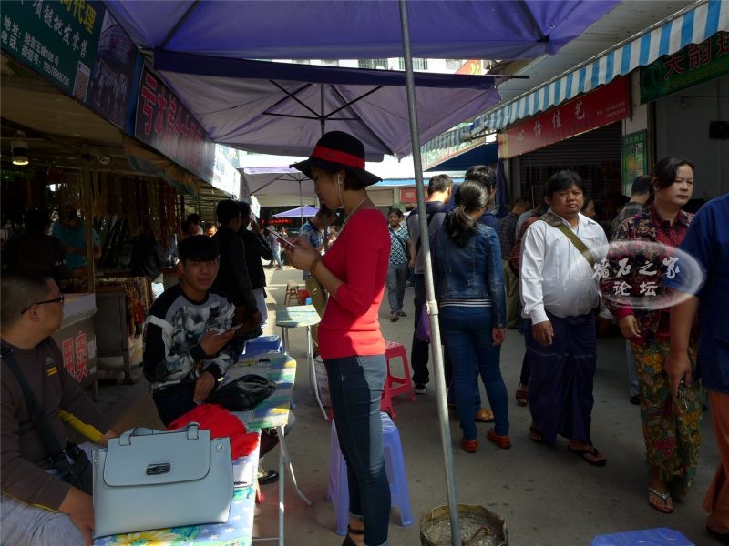 P1040874.jpg