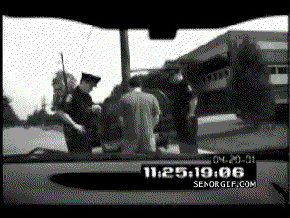 0 (1).gif