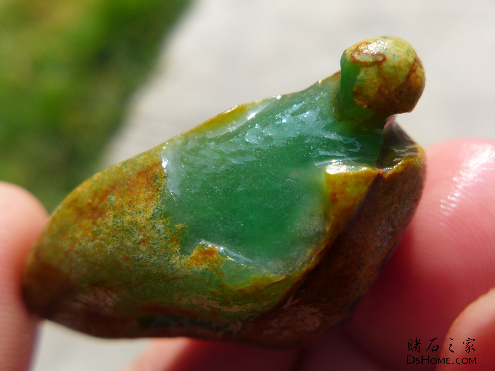 这个开窗位的大小已经够戒面