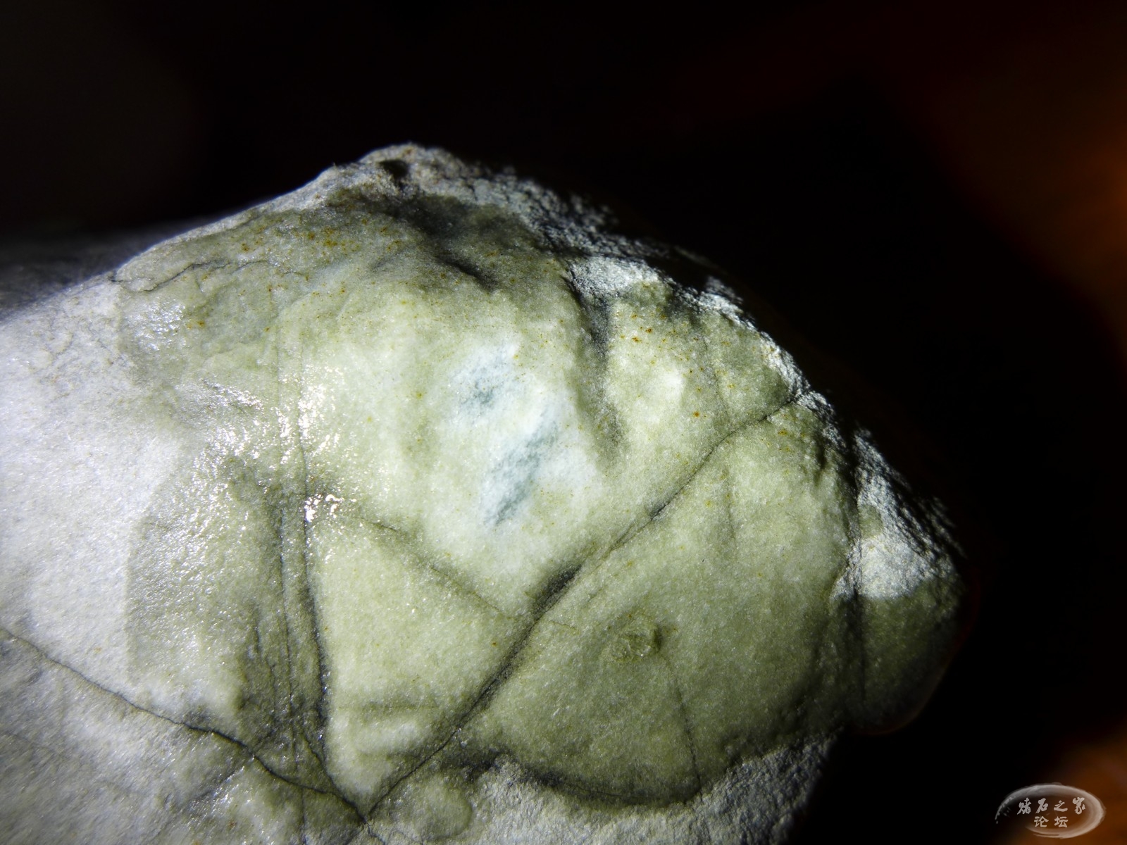 P1260338.JPG