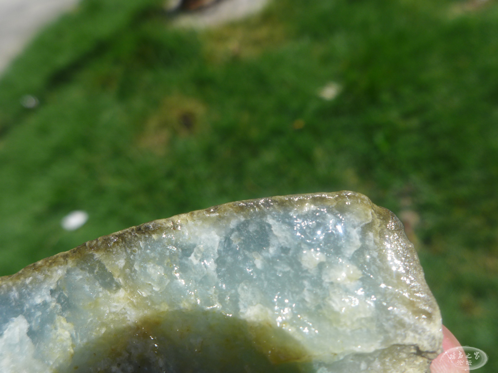 P1300201.JPG