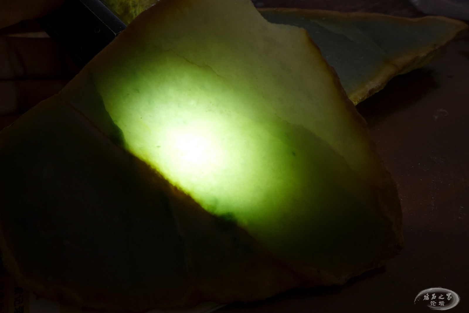 P1310266.JPG