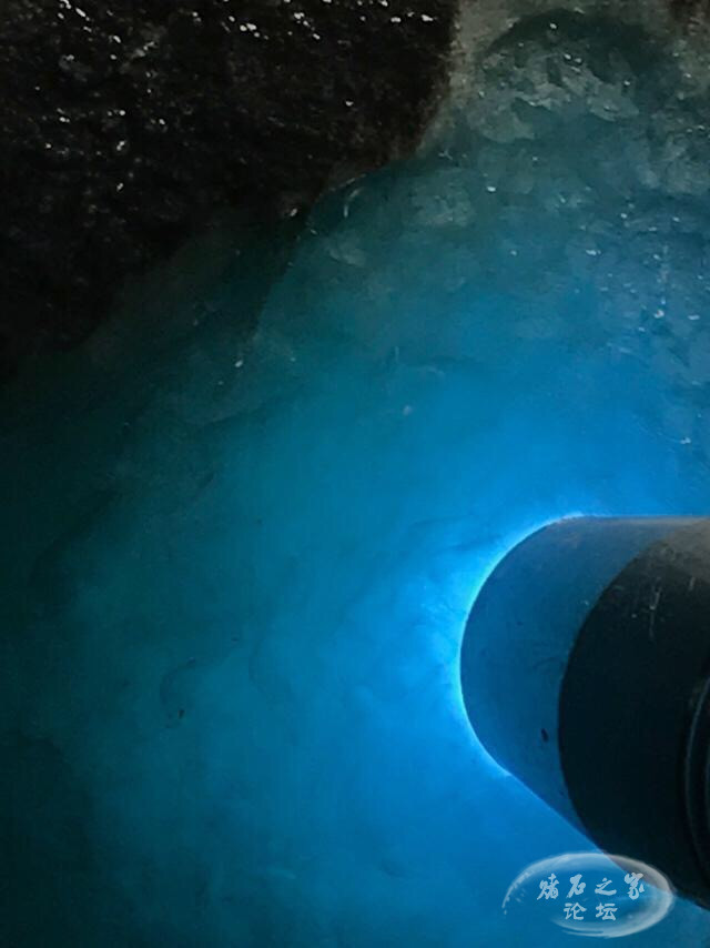 20170621_IMG_9076.JPG