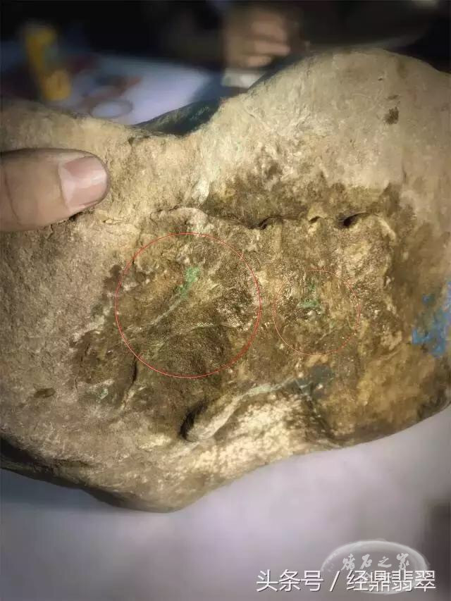20170729_IMG_3763.JPG