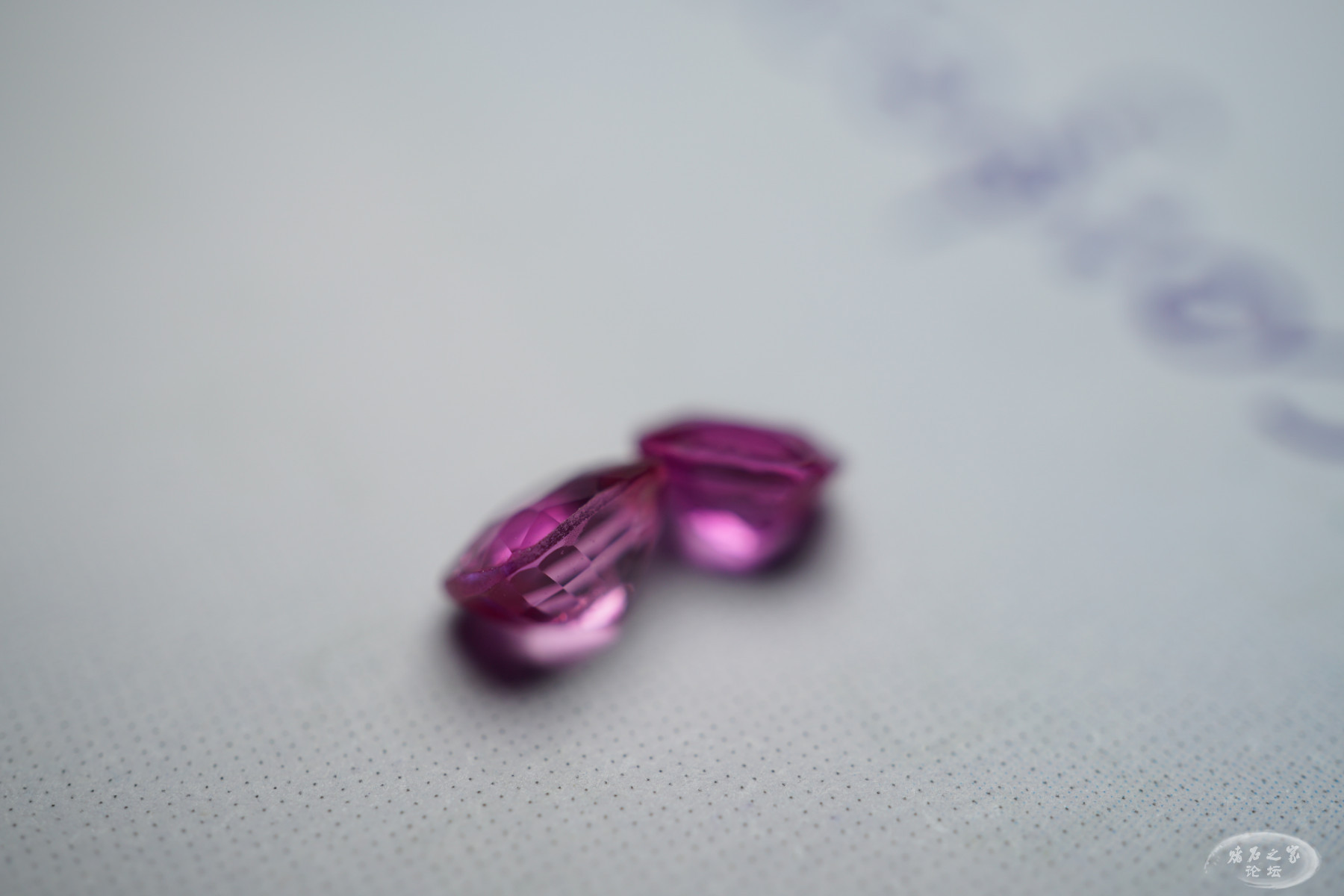 DSC01511.JPG