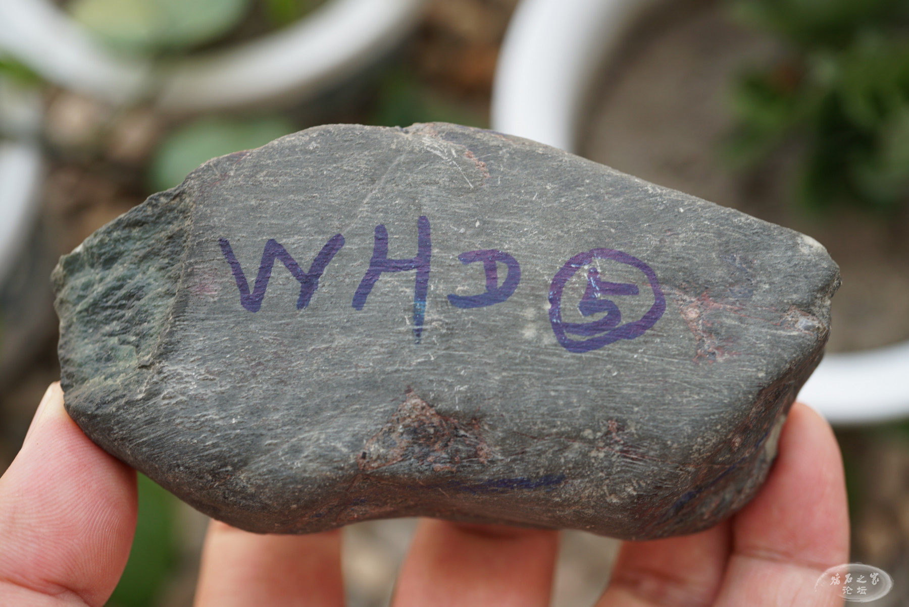 PZMQ3376.JPG