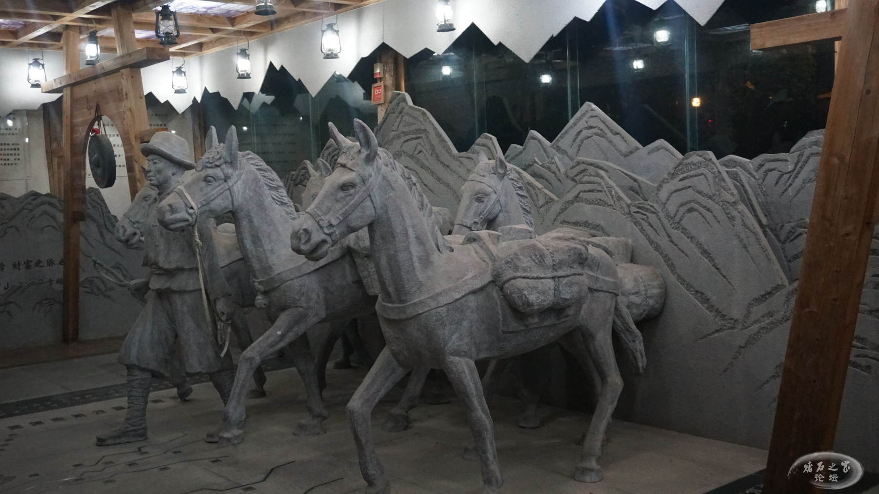 DSC00157.JPG