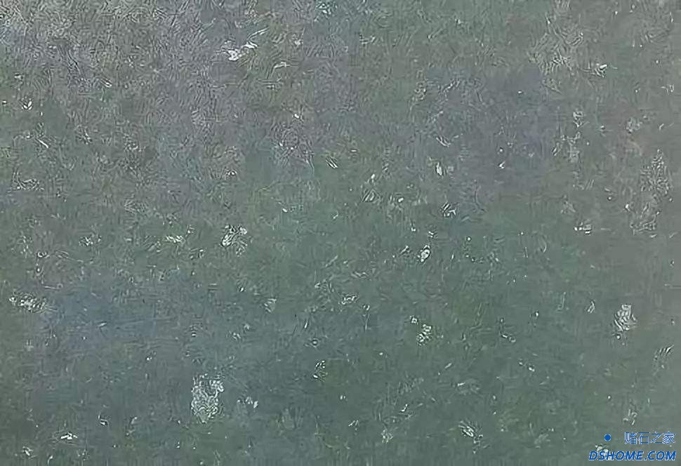 timgQSGKI50G.jpg