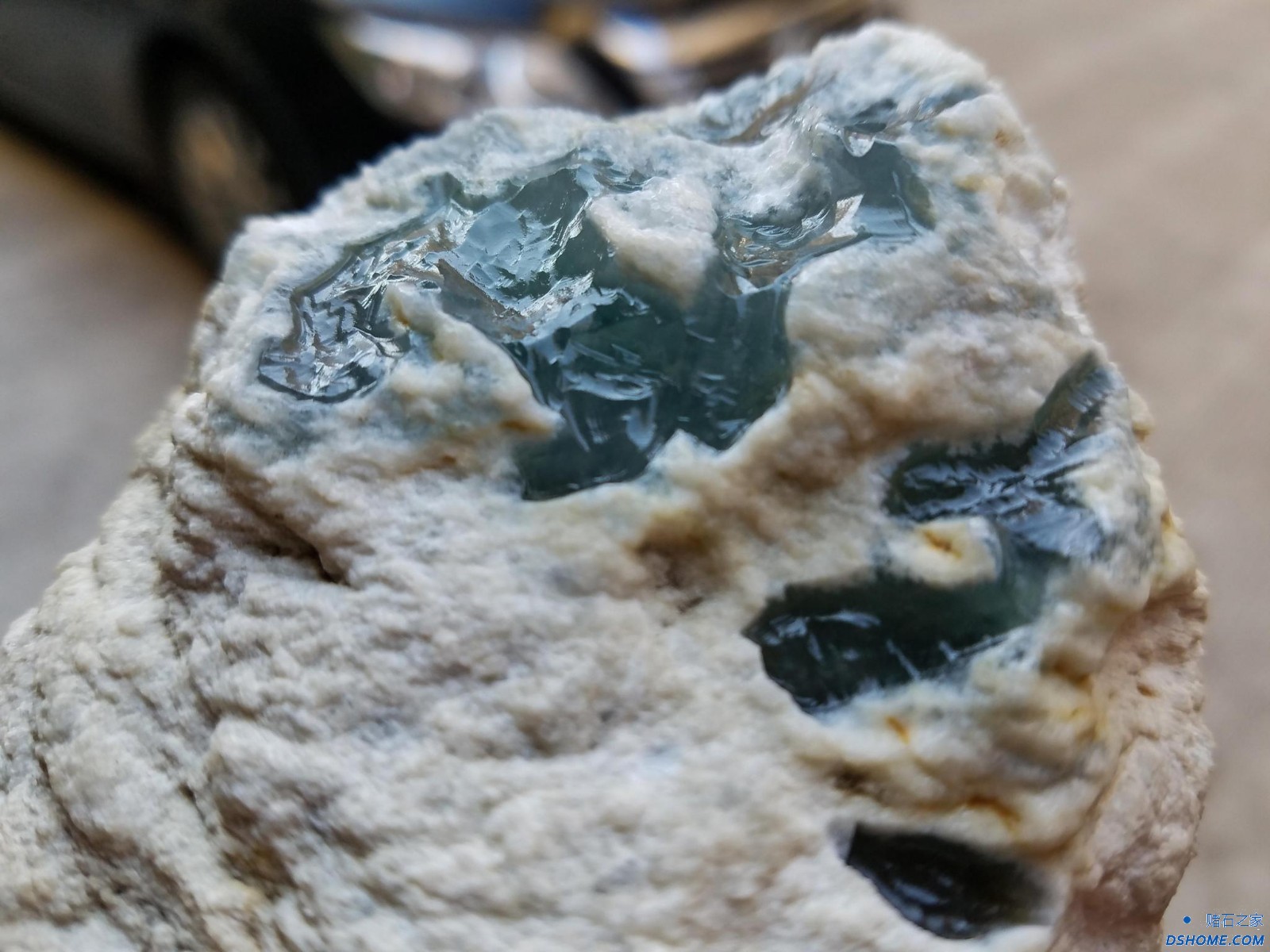 461c-fynnnse0554871.jpg