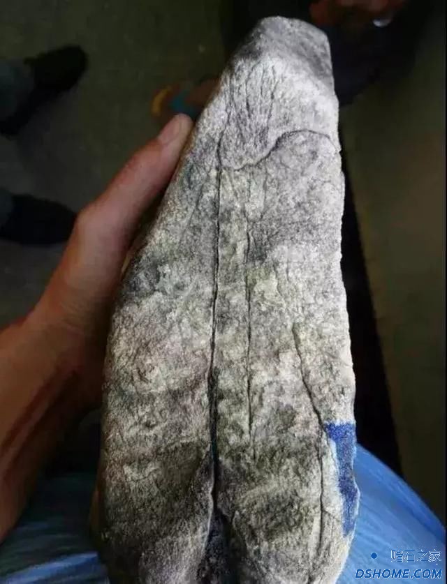 t014697859238561cf5.jpg