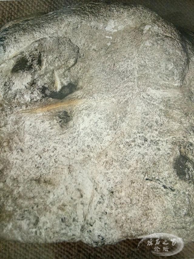 u=1275330125,3063199155&amp;fm=173&amp;app=25&amp;f=JPEG.jpg