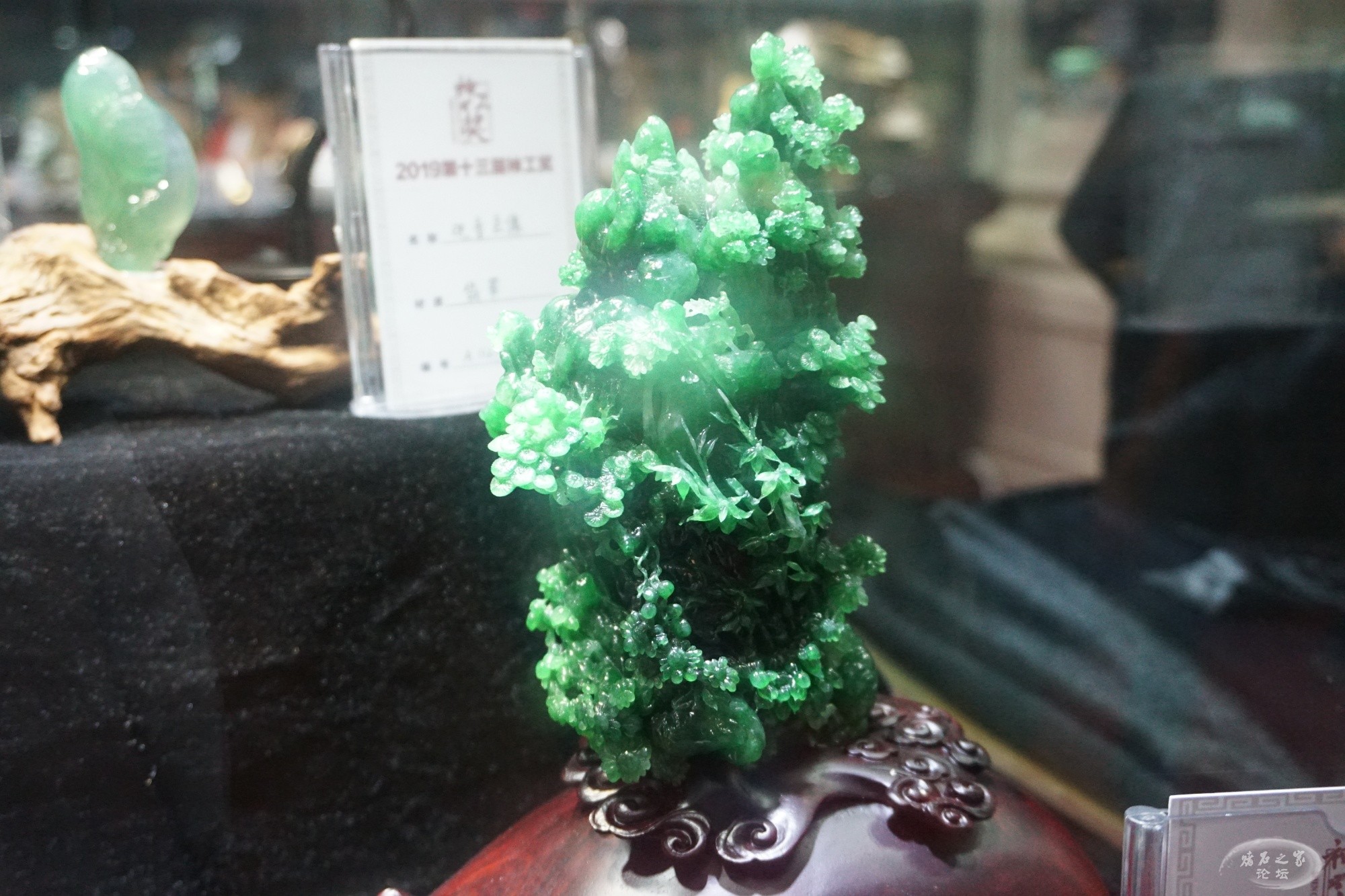 DSC01534.JPG