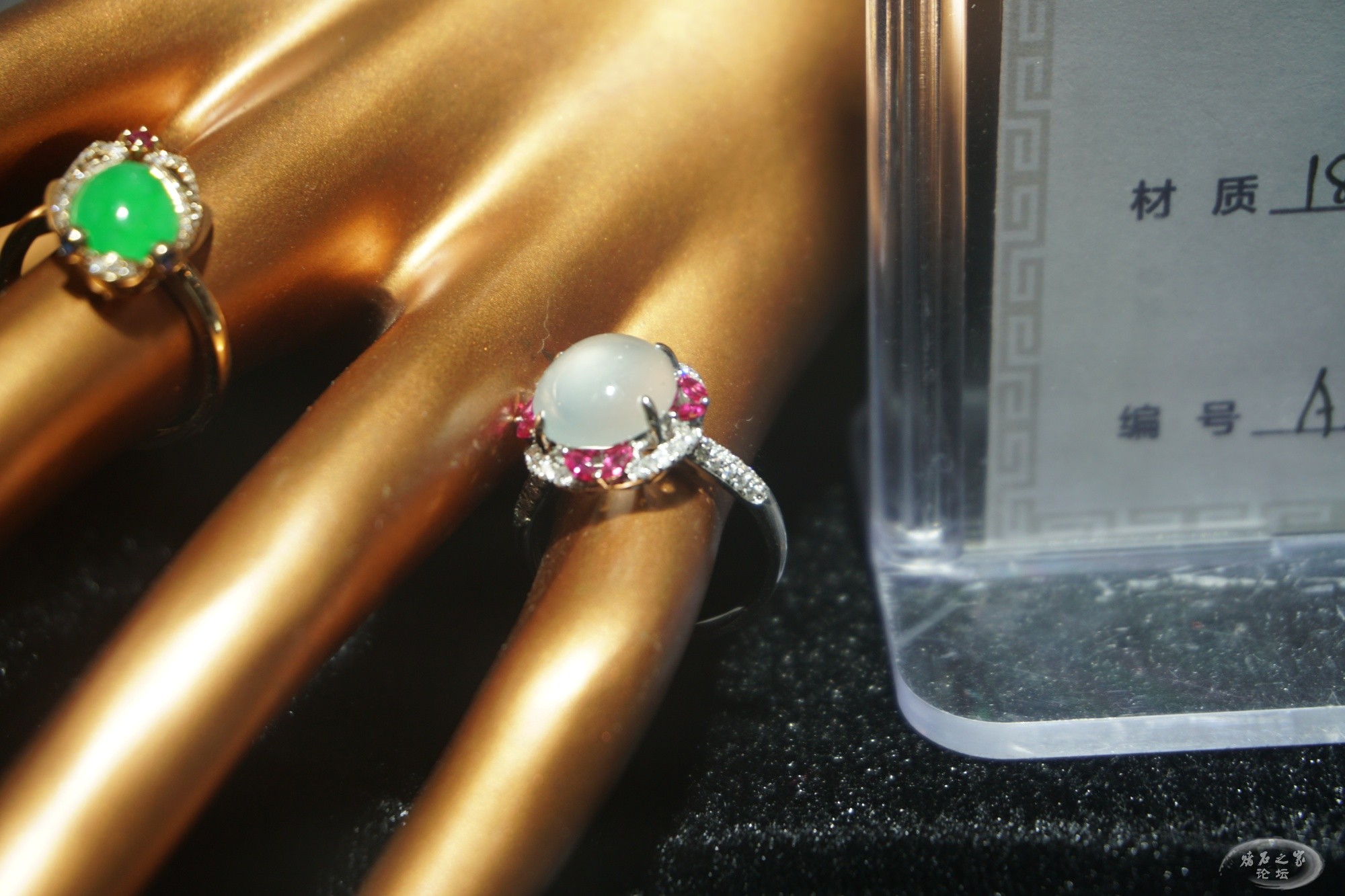 DSC02013.JPG