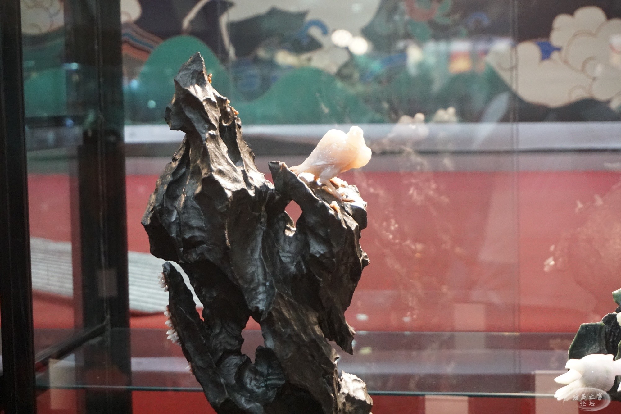 DSC02080.JPG