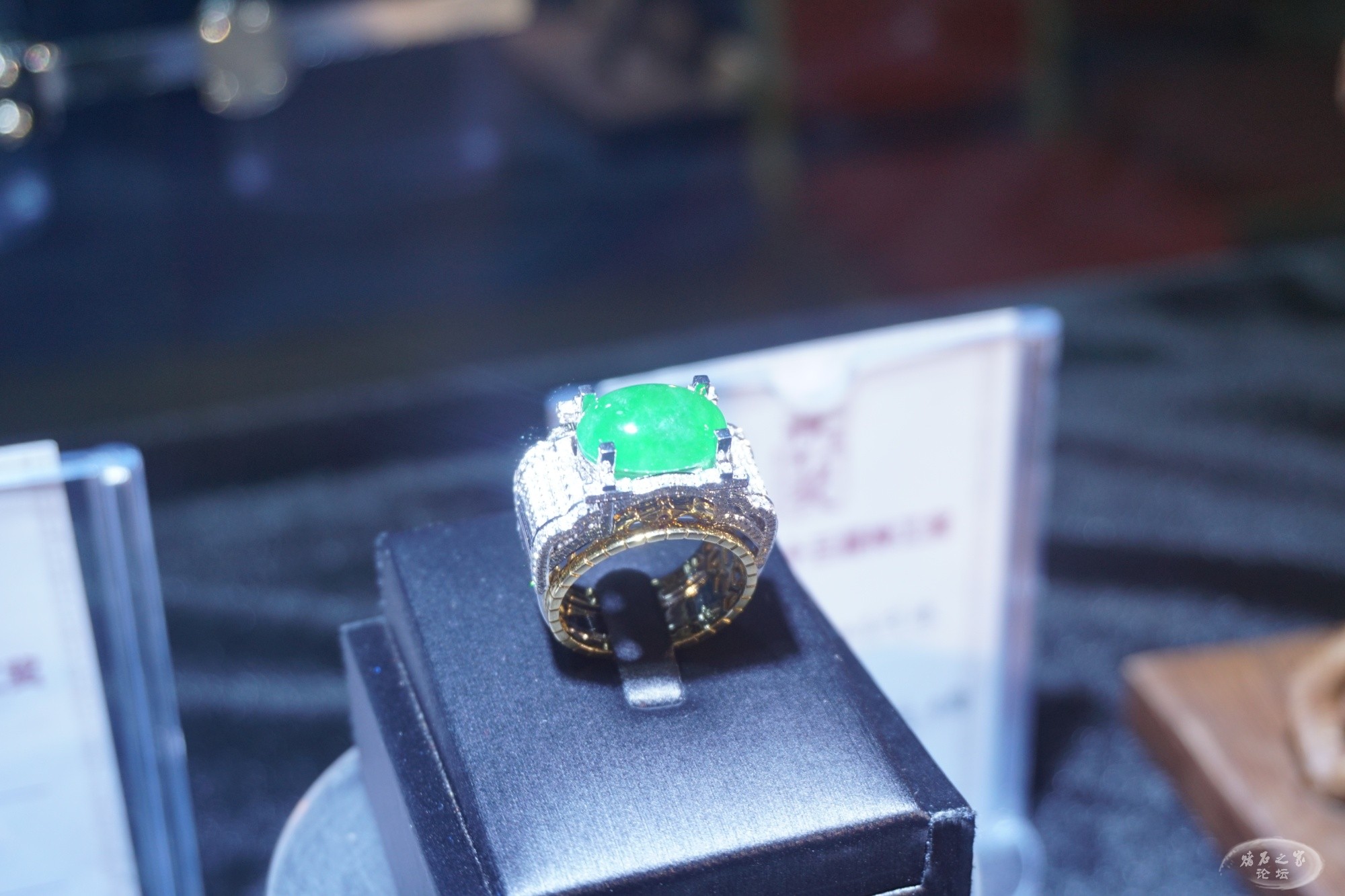 DSC02113.JPG
