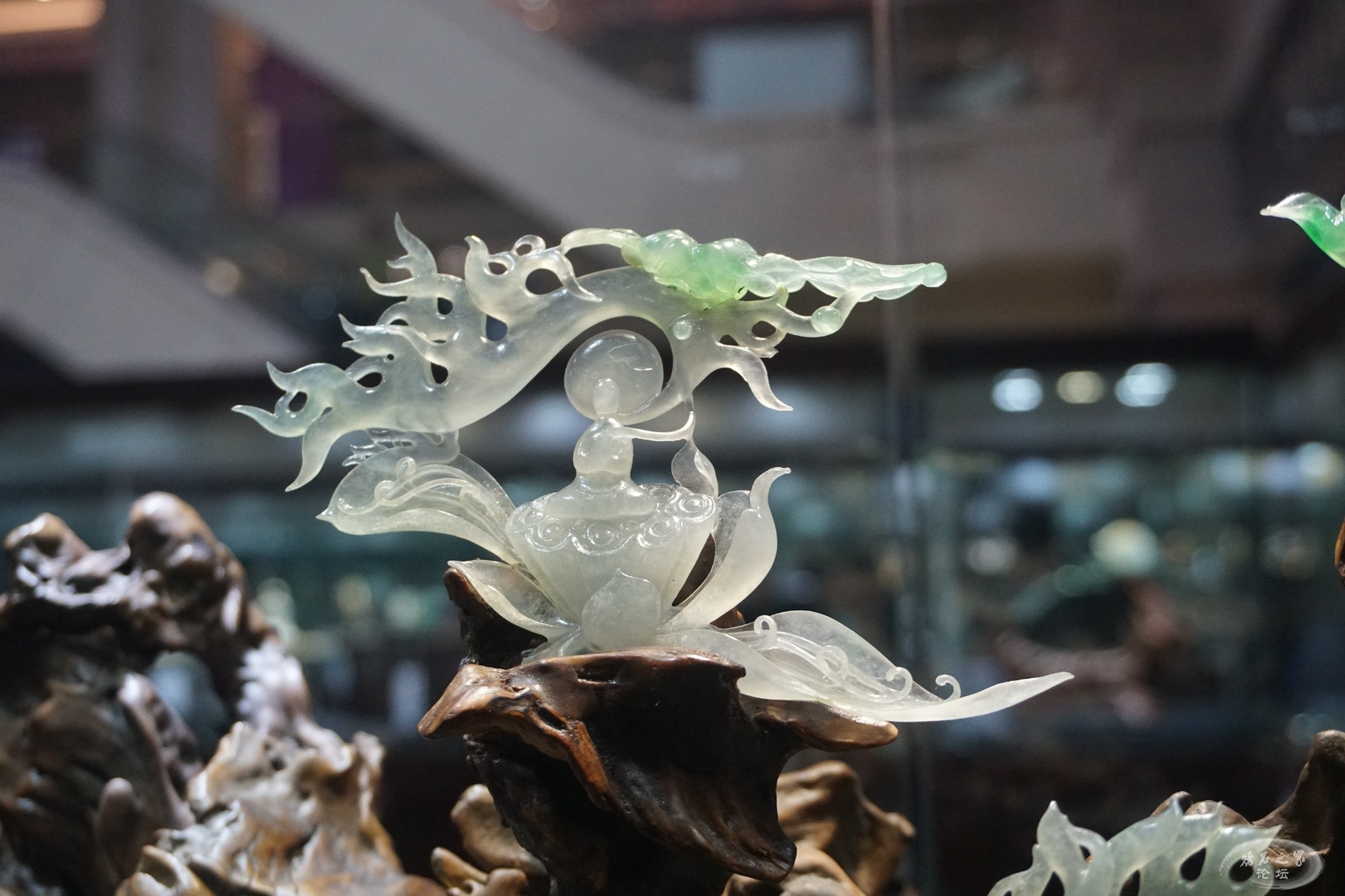 DSC02148.JPG