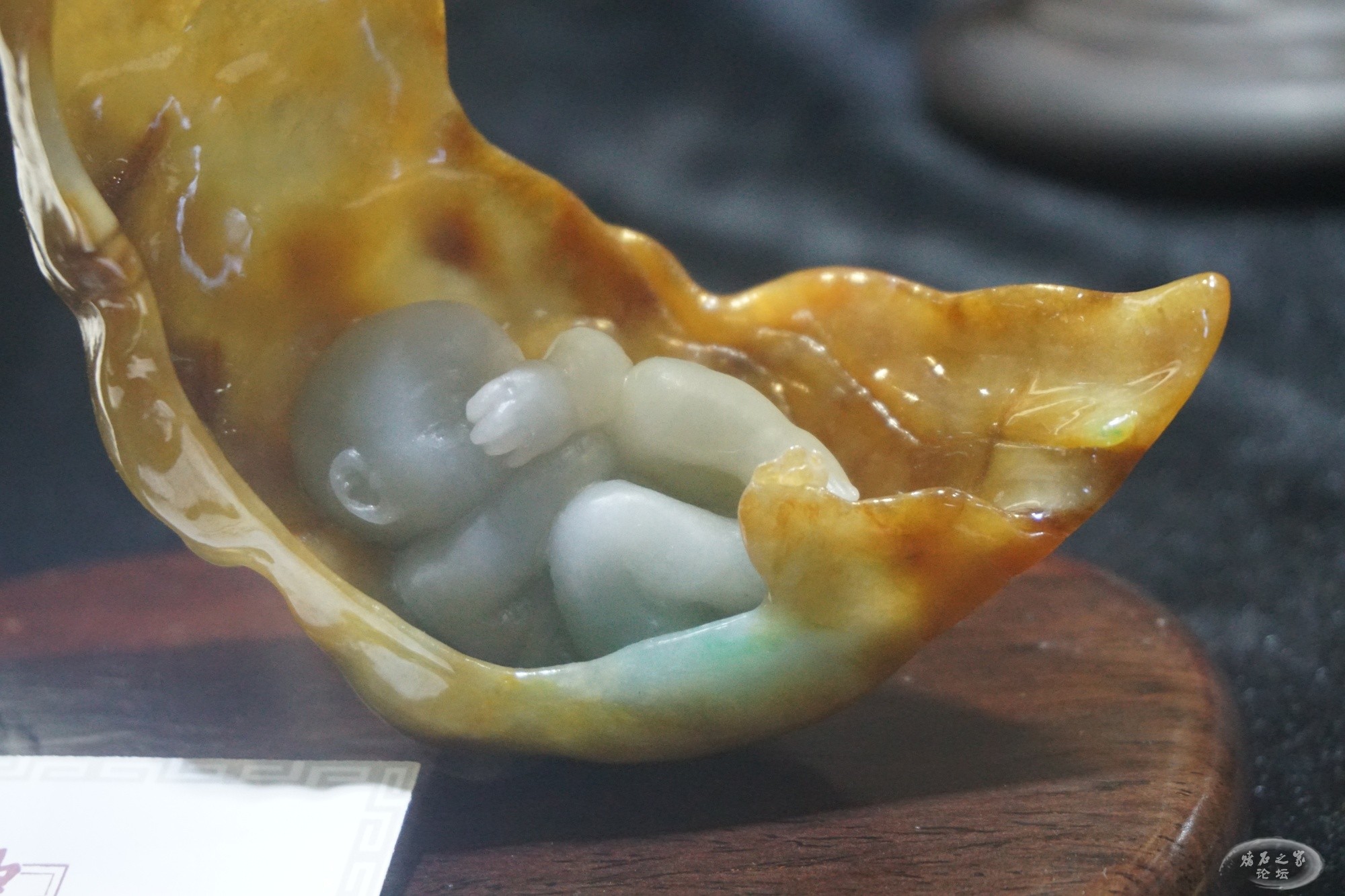 DSC02304.JPG