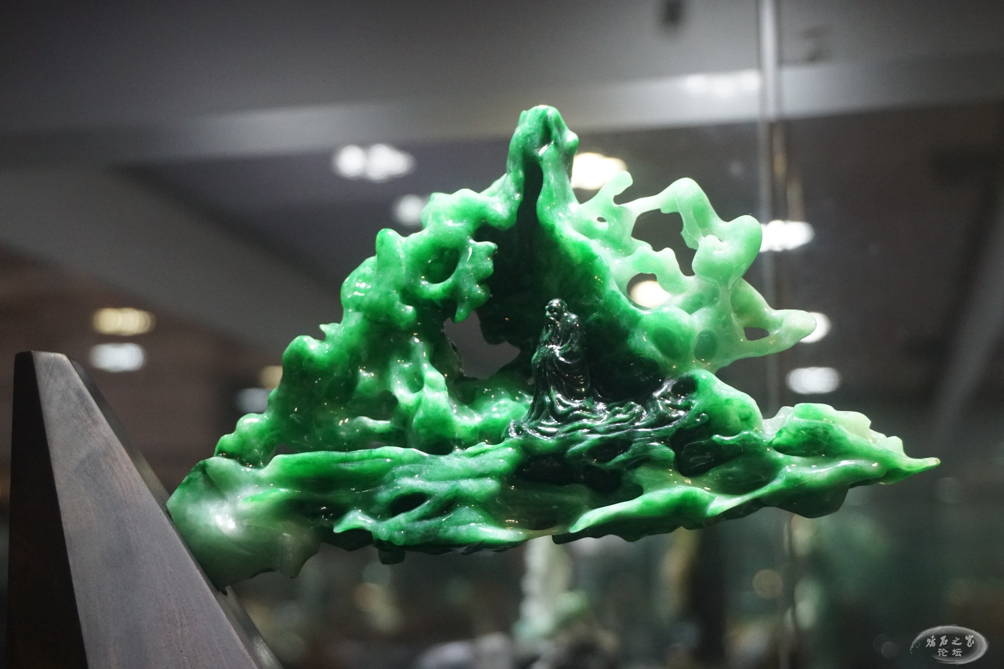 DSC02376.JPG