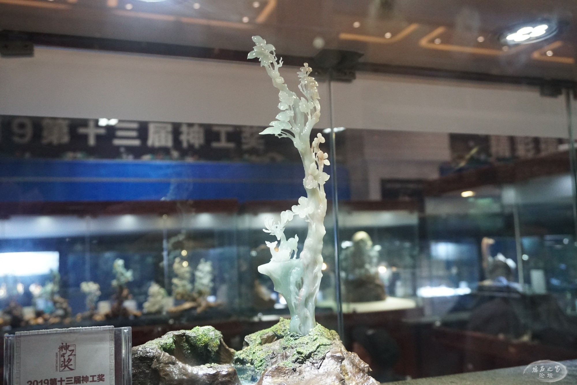DSC02404.JPG