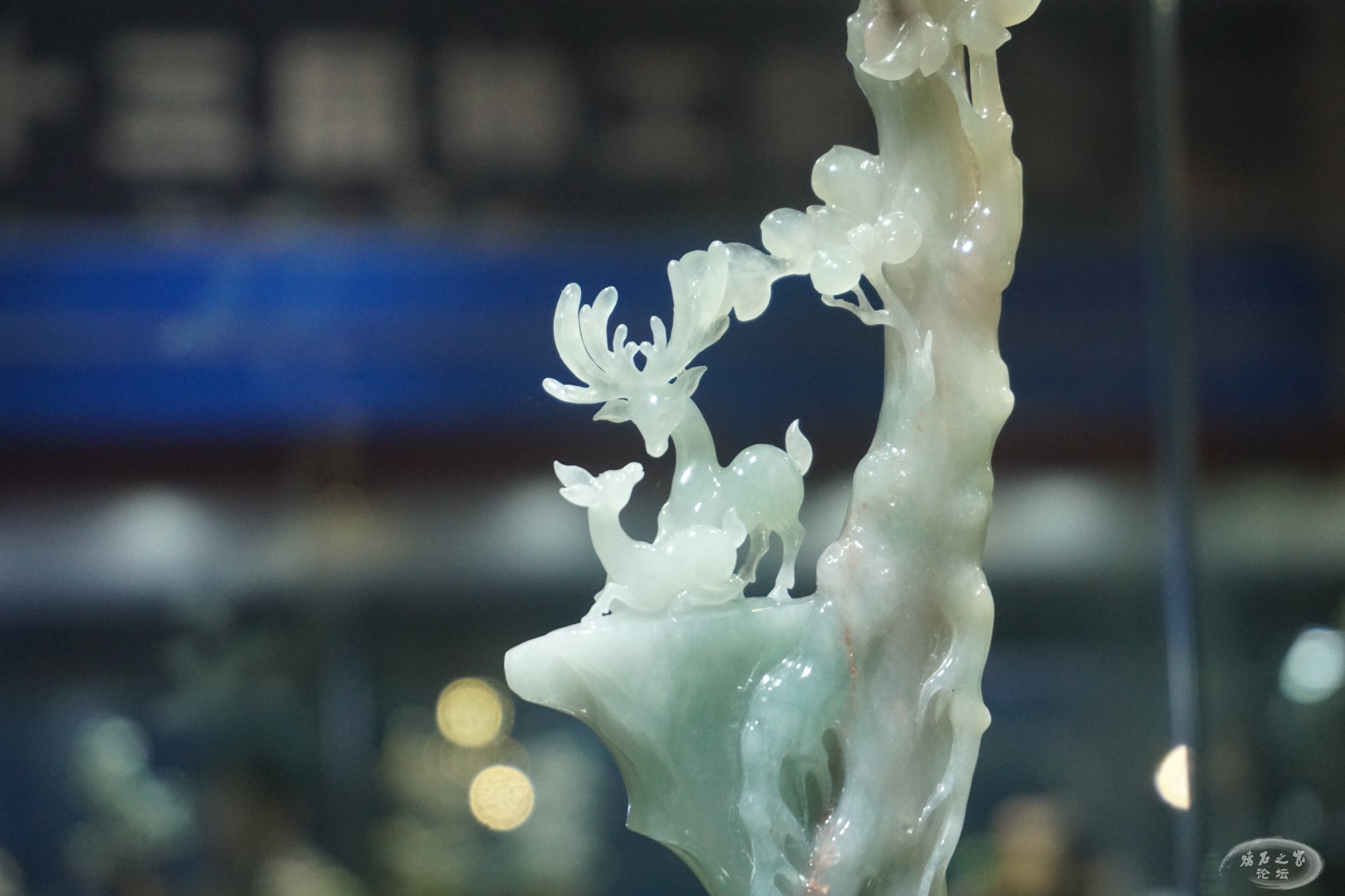 DSC02410.JPG