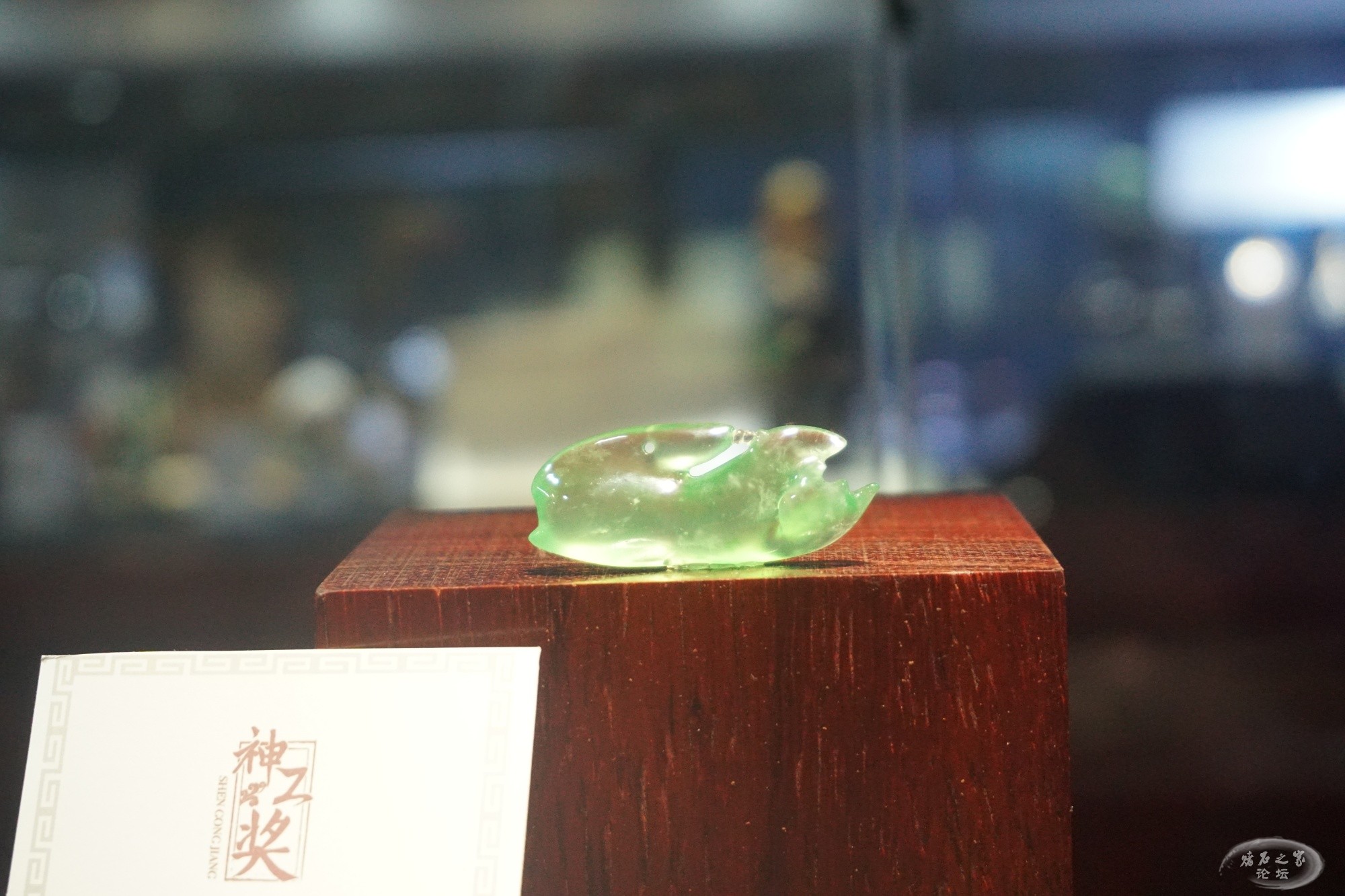 DSC02448.JPG