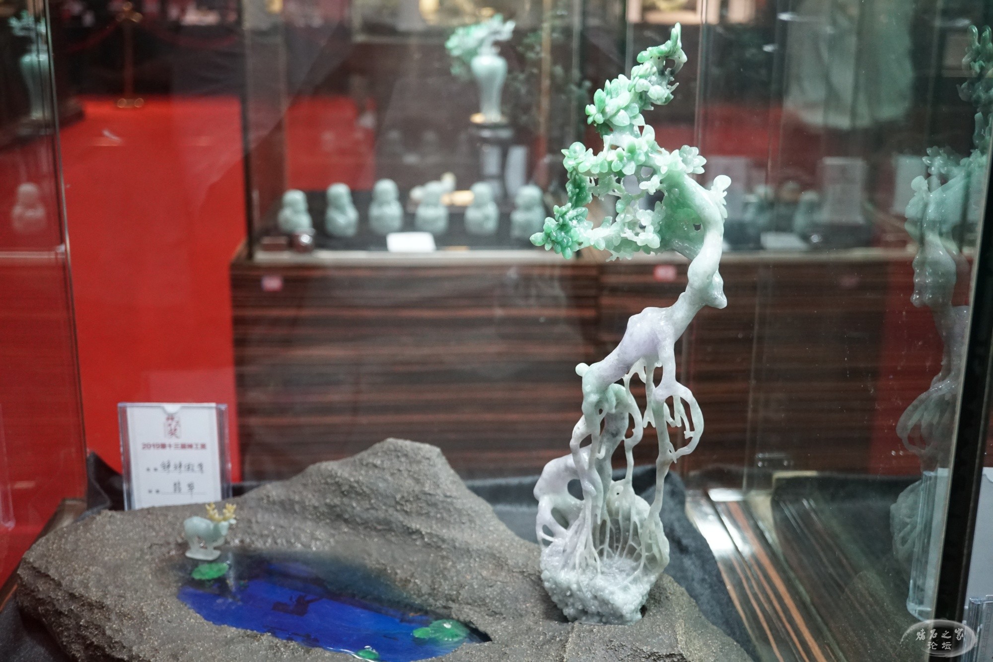 DSC02670.JPG
