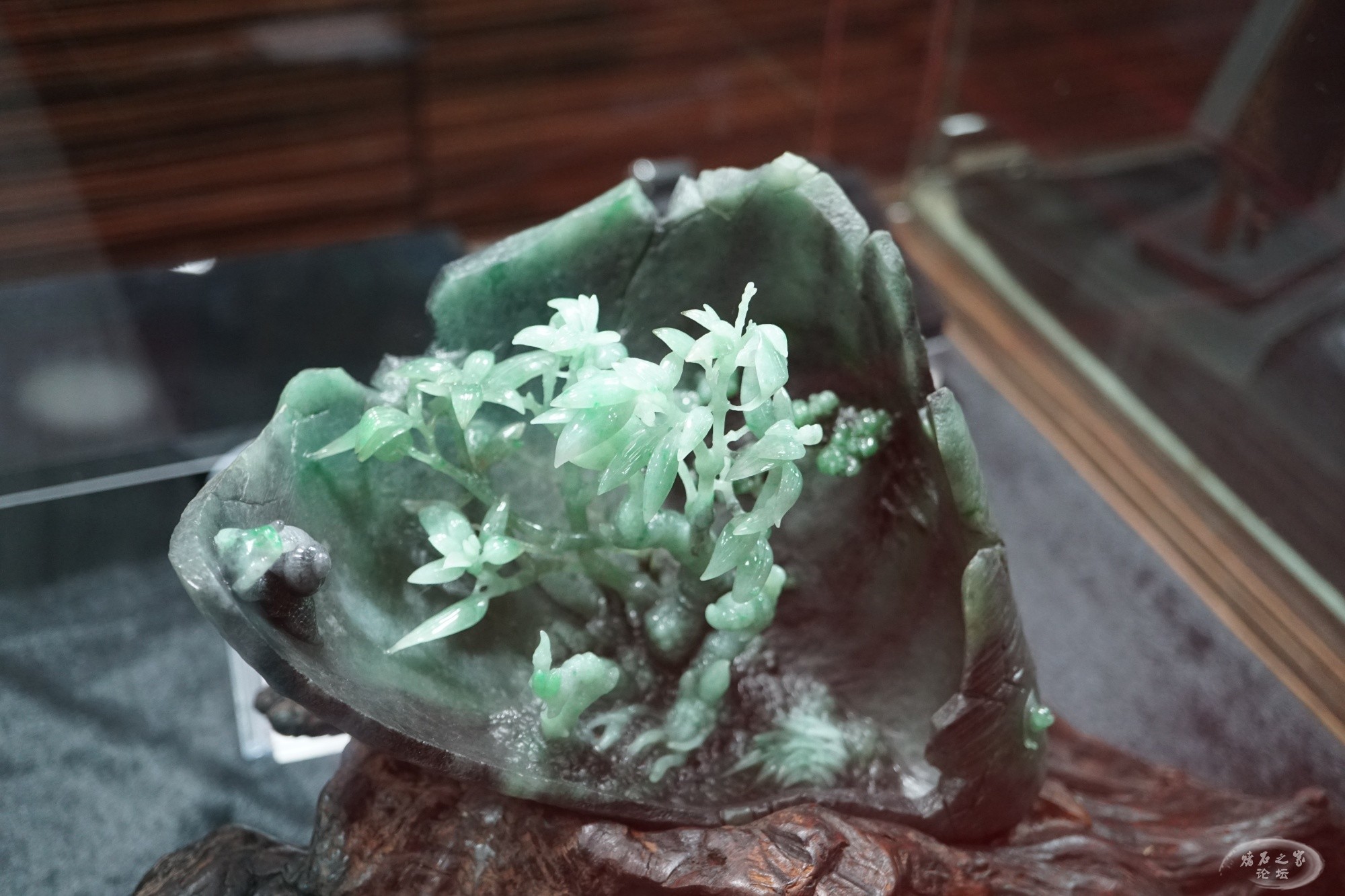 DSC02687.JPG