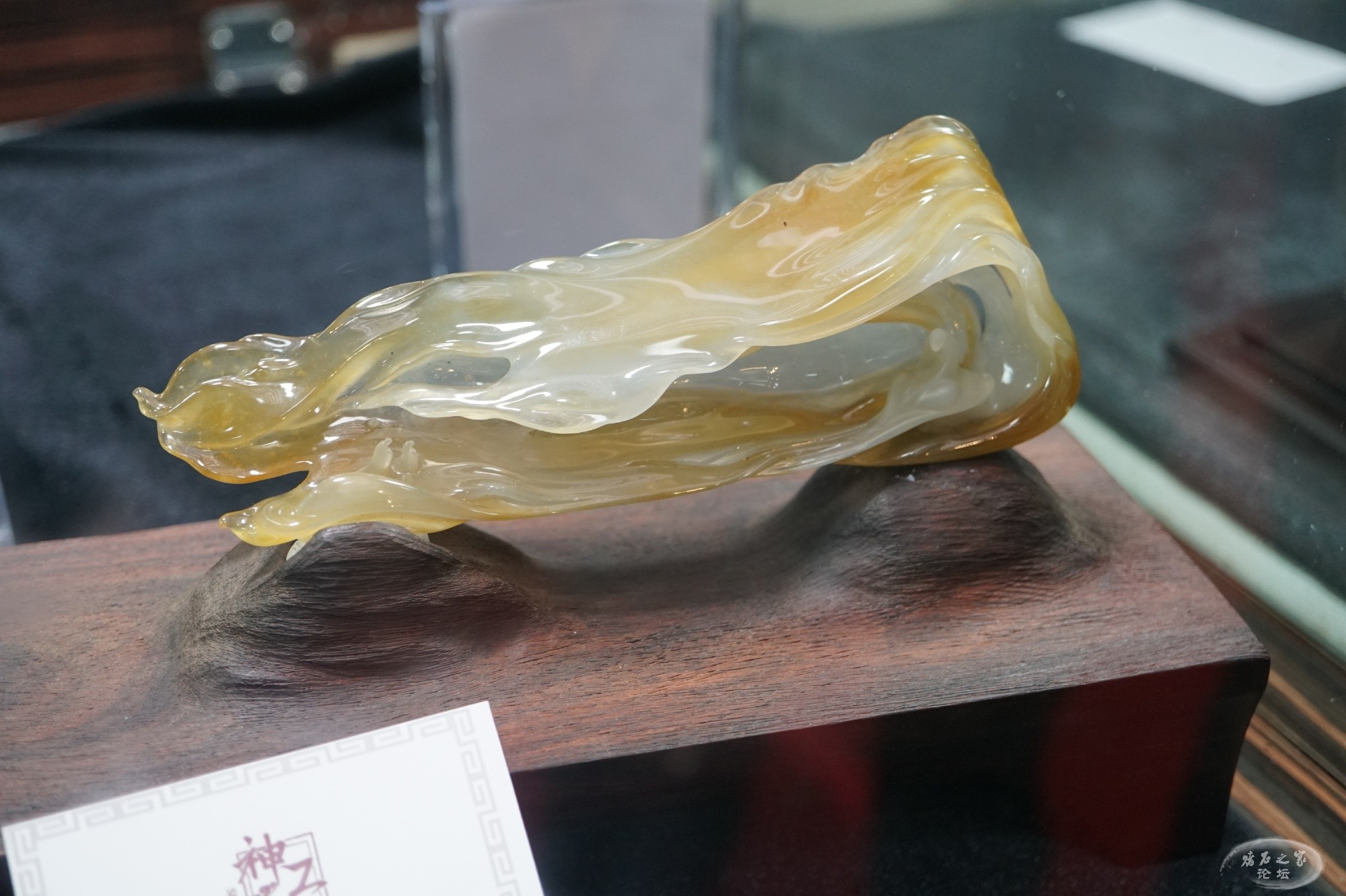 DSC02751.JPG