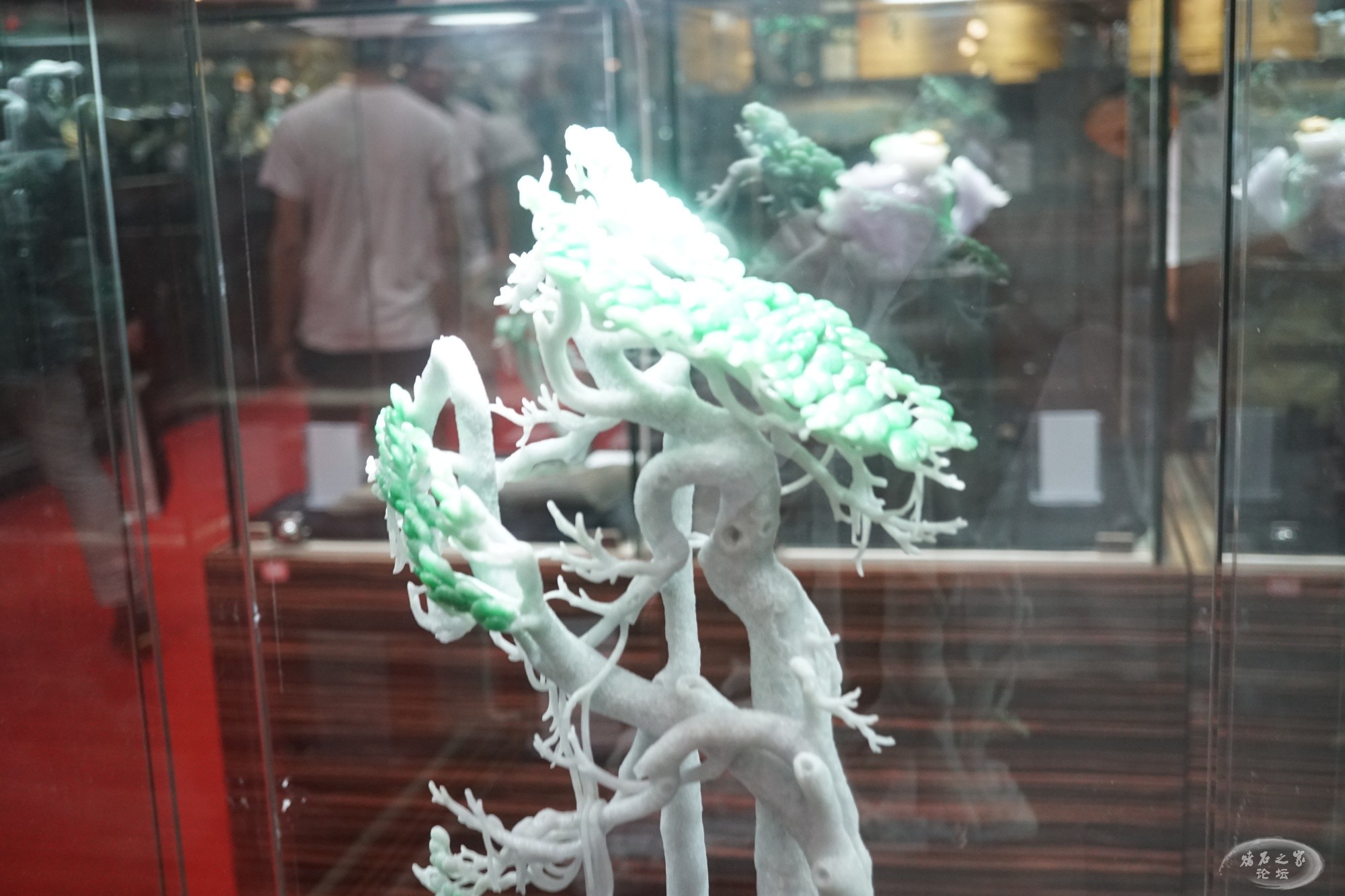 DSC02772.JPG