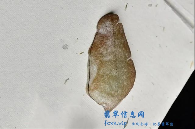 我是玉雕师，虽然翡翠只有薄薄一层黄雾，但这样雕刻十分精致迷人-1.jpg