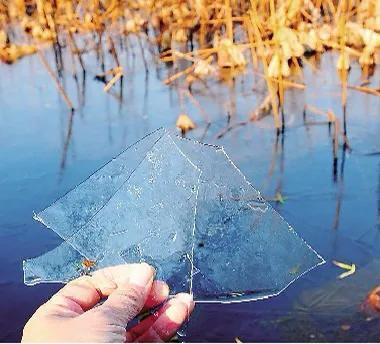 玩翡翠不懂种水真的好吗？-5.jpg