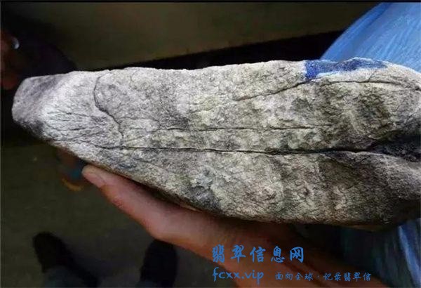 打灯不见色的翡翠原石，货主12000拿下，意外掏出6件精品-2.jpg