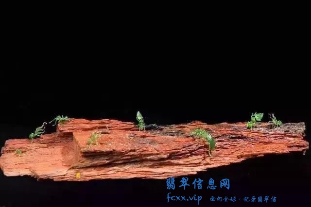 雕刻师把翡翠雕成了蚂蚁，没想到会这么生动-1.jpg