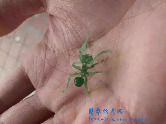 雕刻师把翡翠雕成了蚂蚁，没想到会这么生动-4.jpg