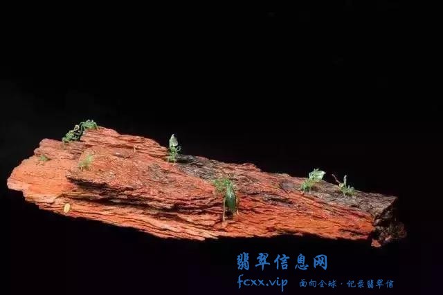 雕刻师把翡翠雕成了蚂蚁，没想到会这么生动-8.jpg