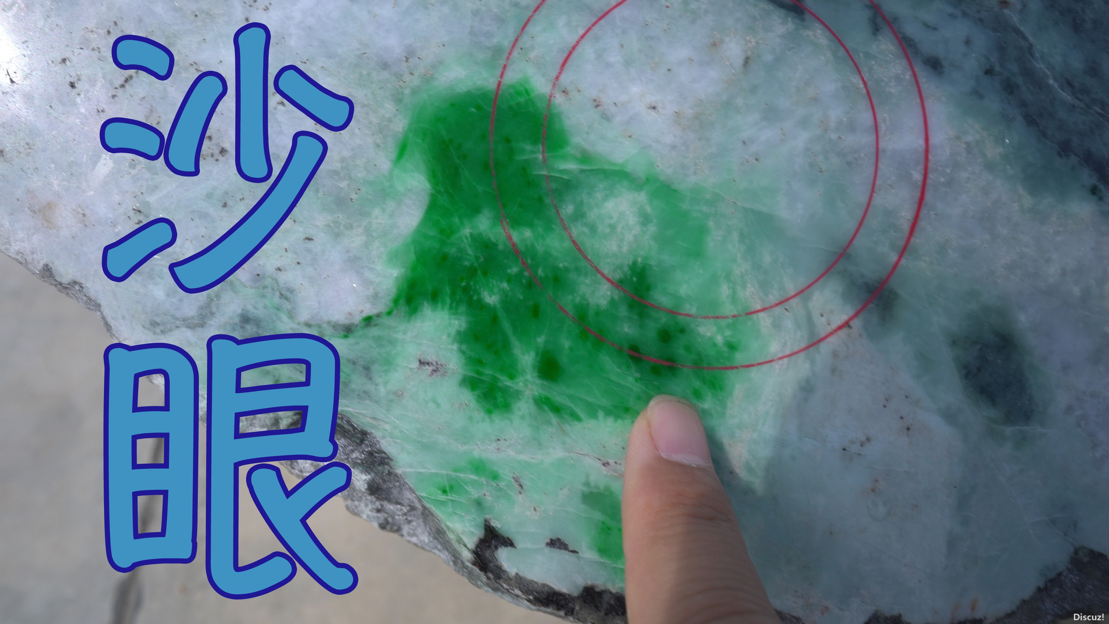 沙眼_封面:正式.jpg