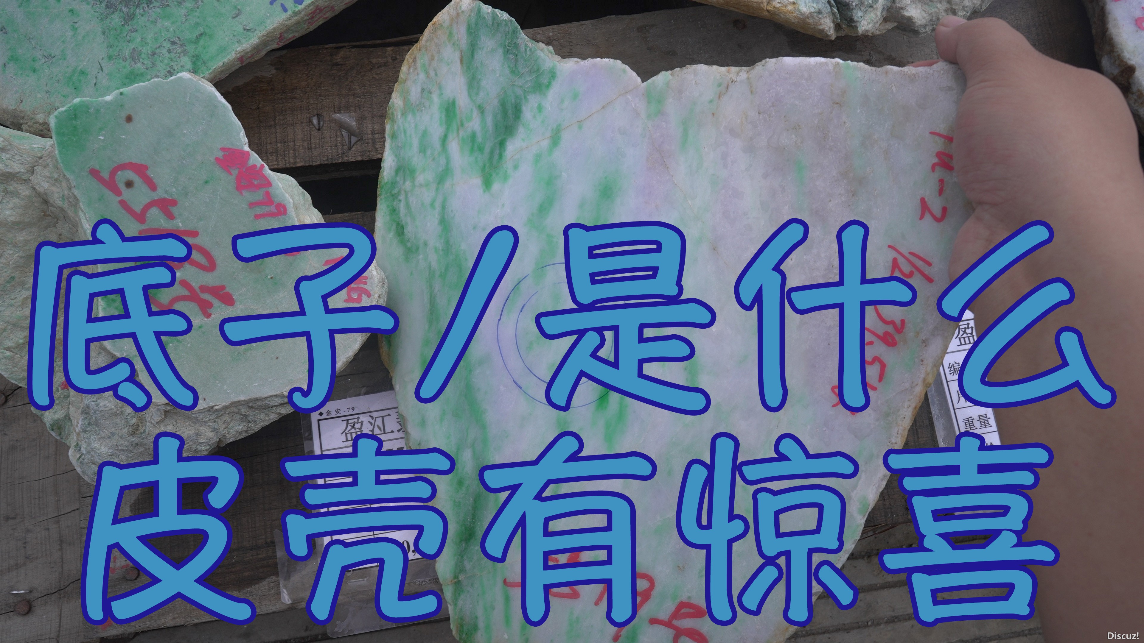 封面000.jpg