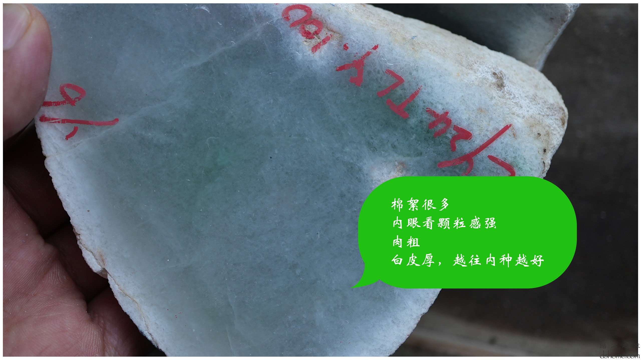 第3集.00_01_11_47.Still017.jpg