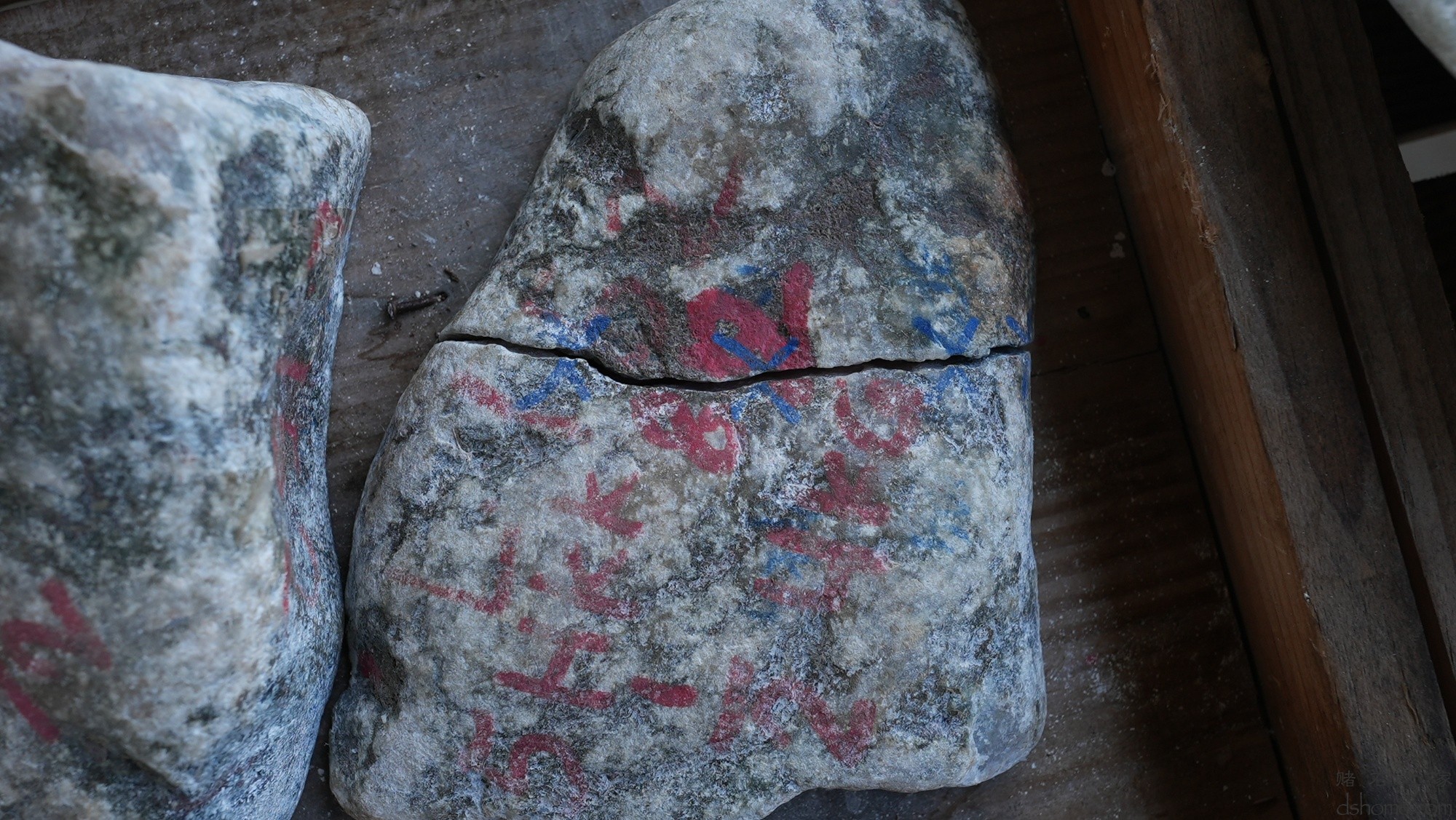 DSC00601.JPG
