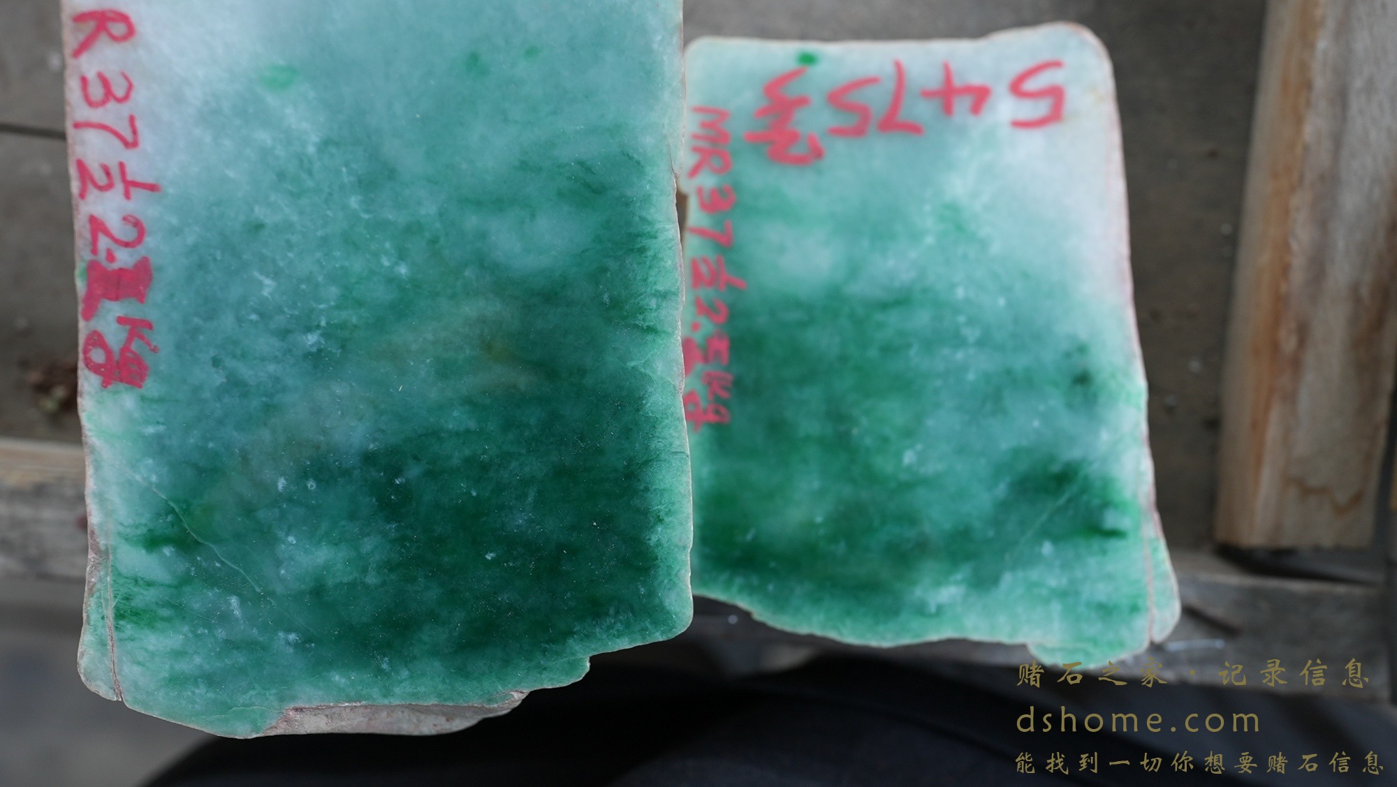 DSC00722.JPG