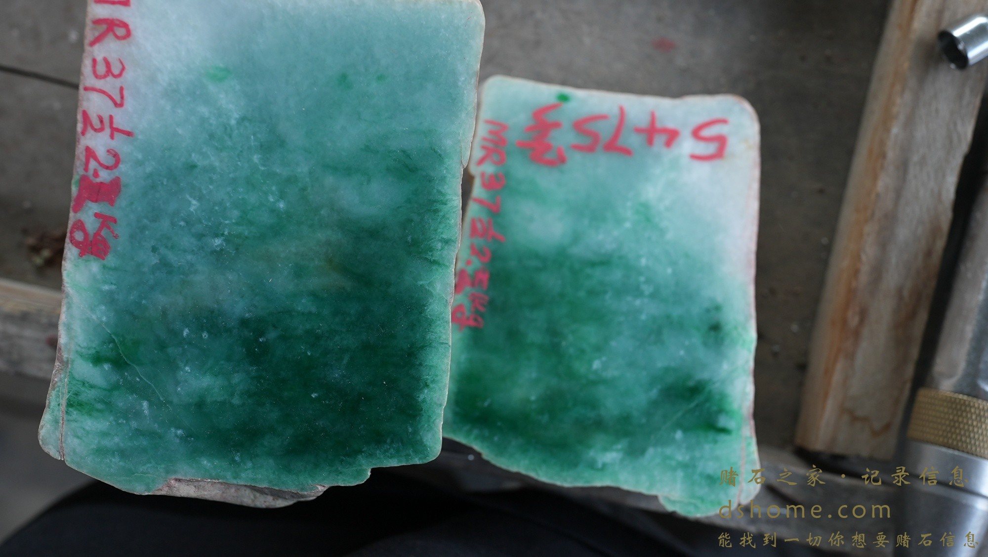 DSC00724.JPG