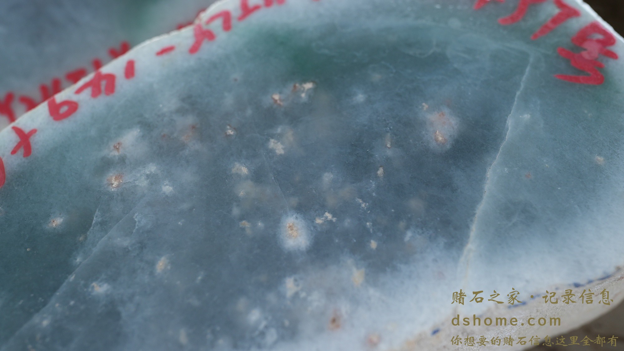 DSC00805.JPG