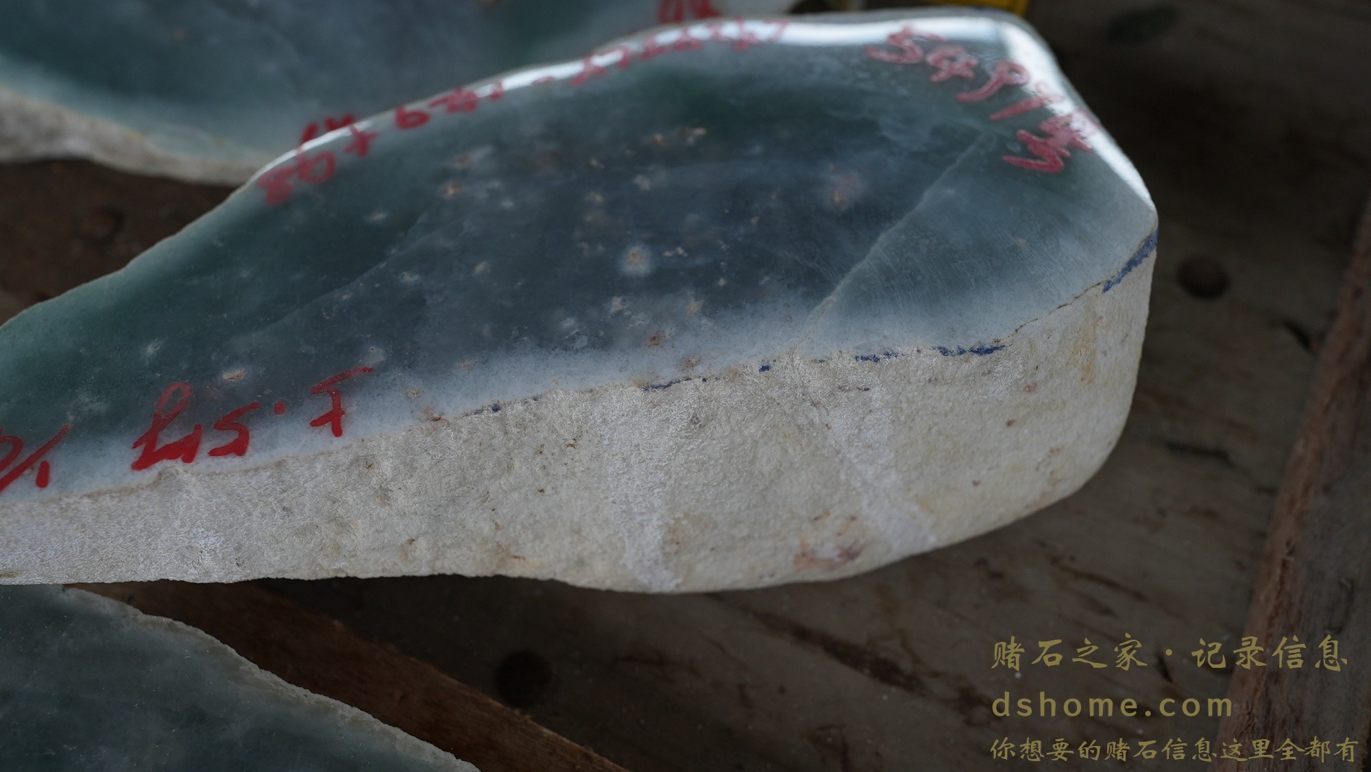 DSC00814.JPG