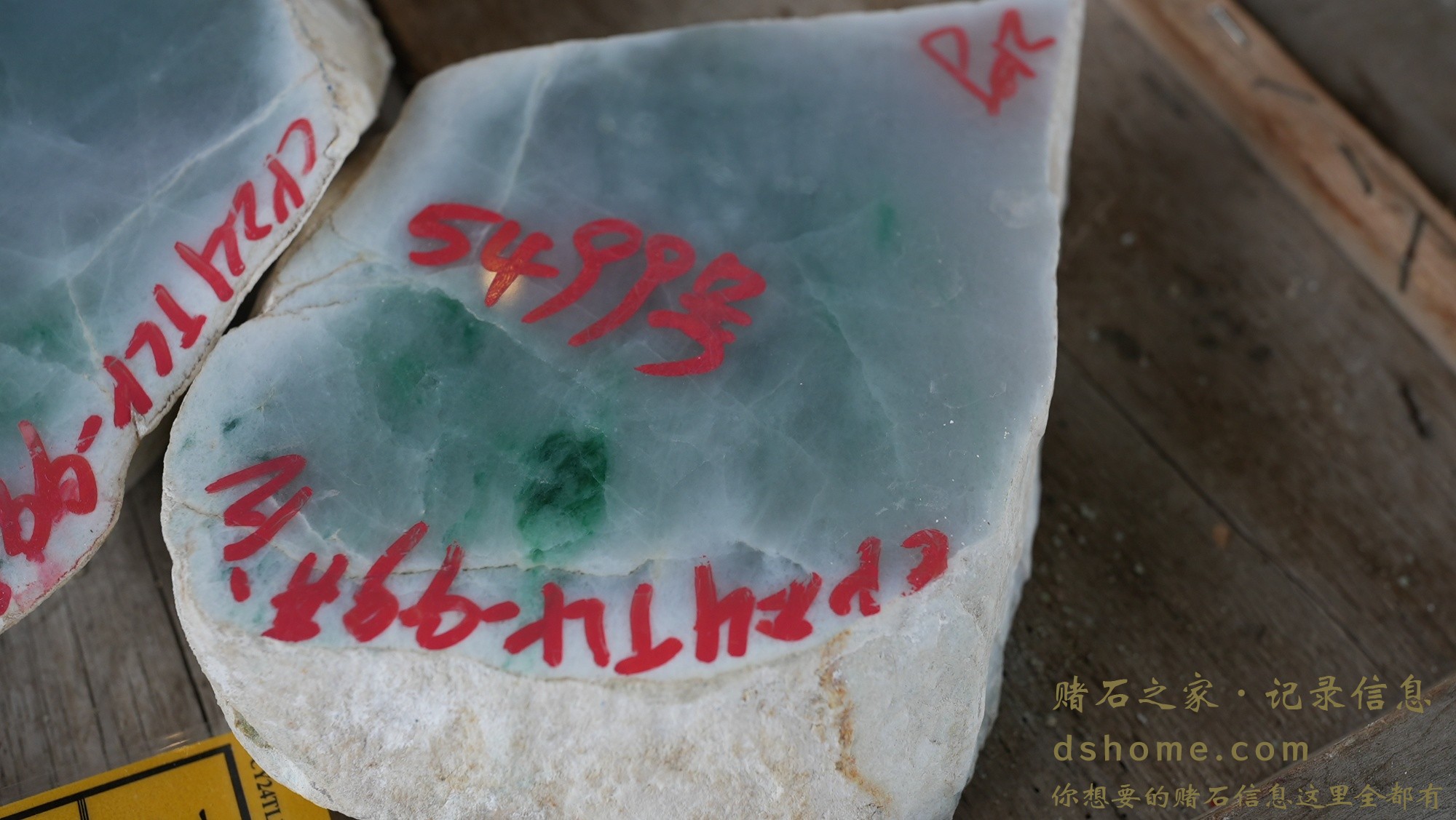 DSC00820.JPG