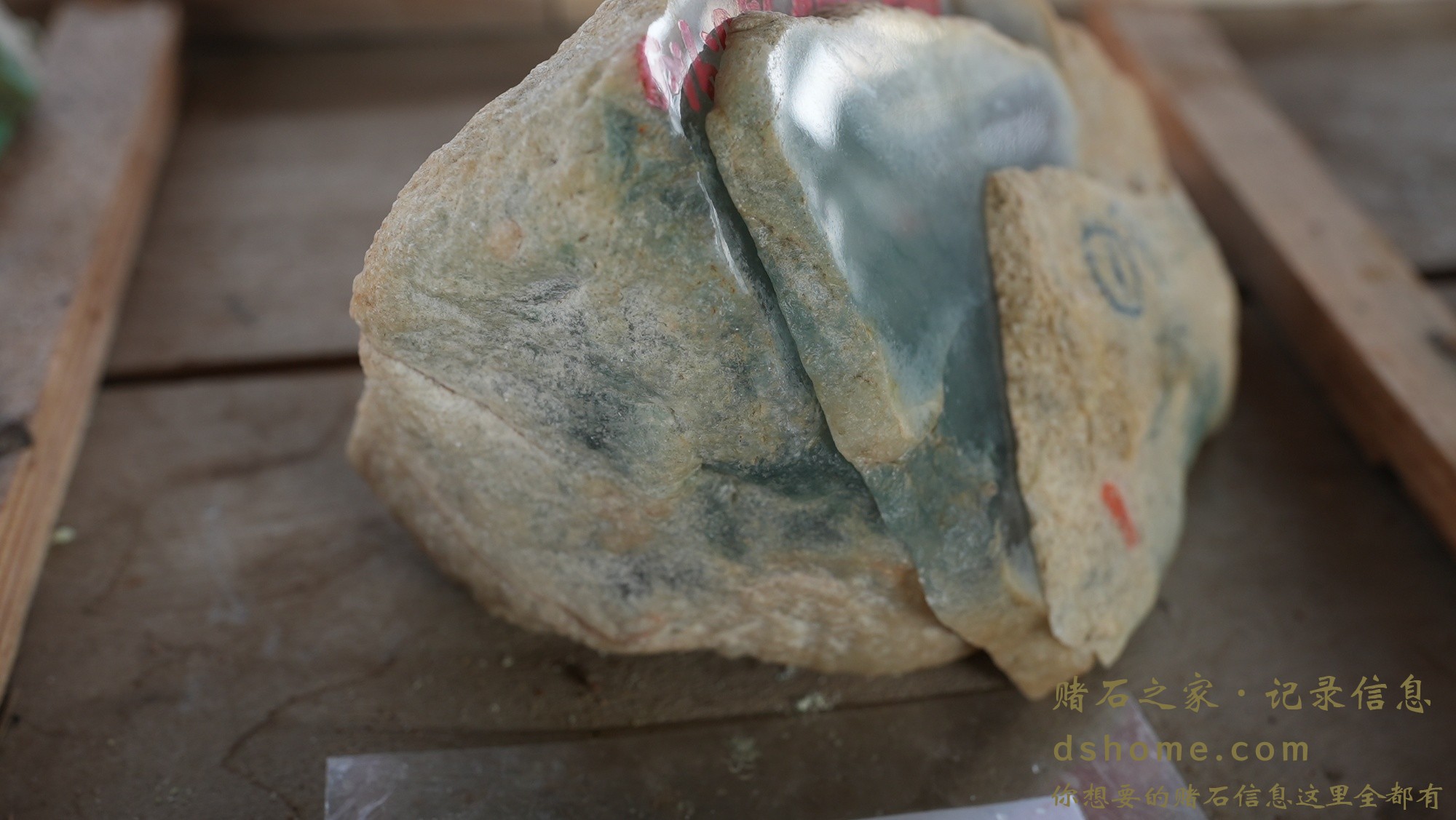 DSC01024.JPG