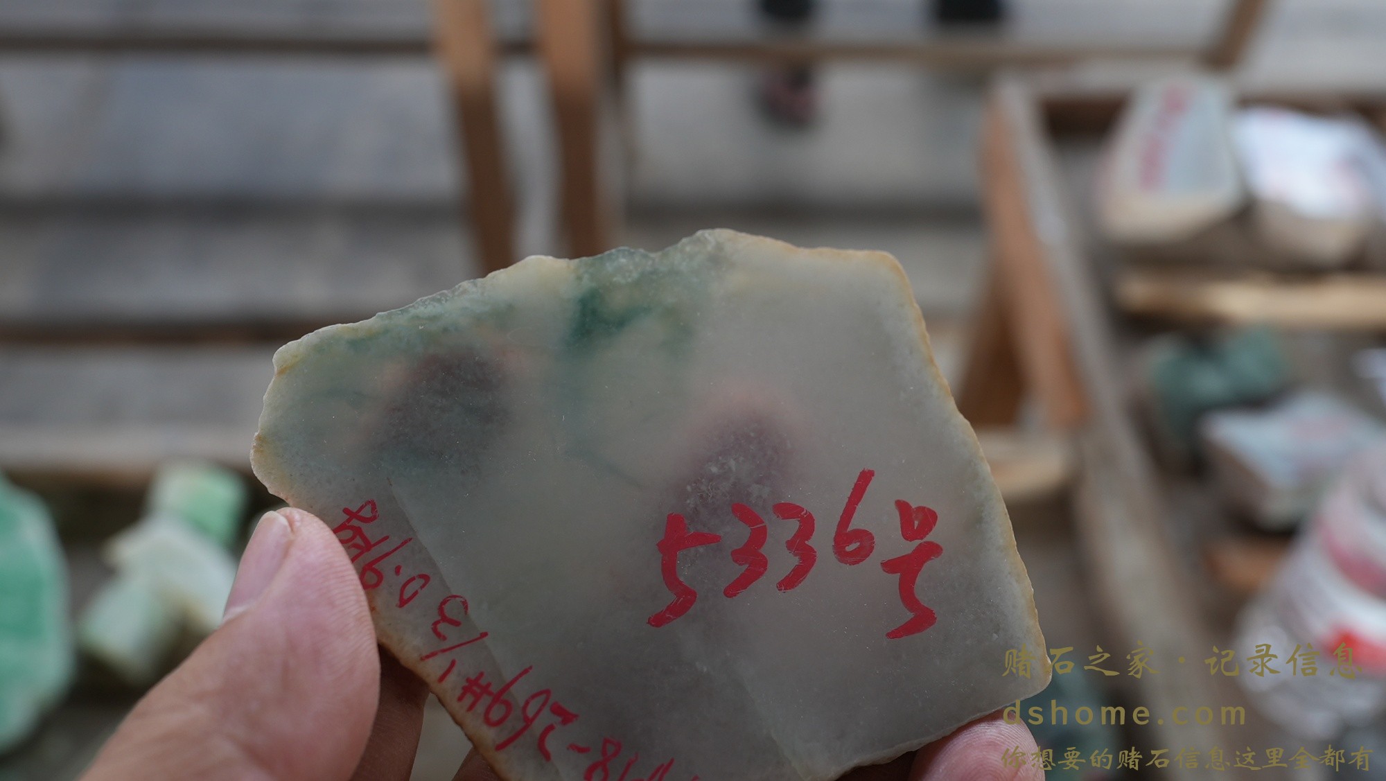 DSC01034.JPG